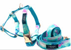 STEP IN HARNESS - SKY