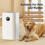 Air Purifier Negative Ion Pet Odor Removal-1