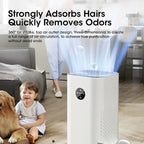 Air Purifier Negative Ion Pet Odor Removal-2